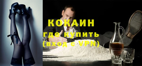 шишки Балахна