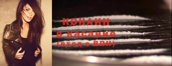 шишки Балахна