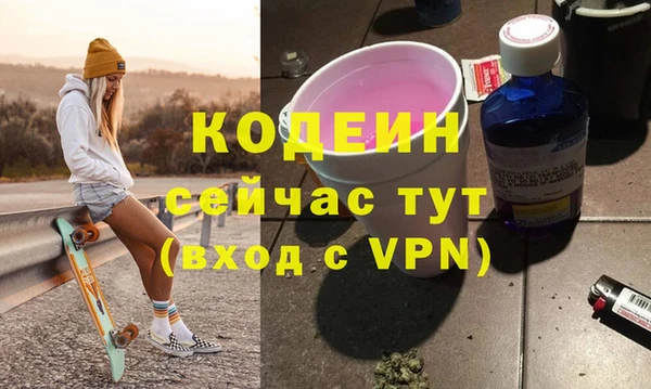 молекула духа Ельня