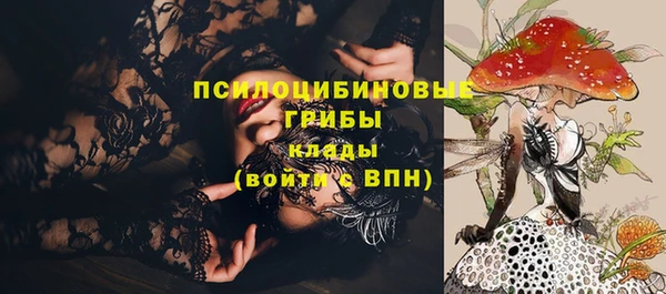 шишки Балахна