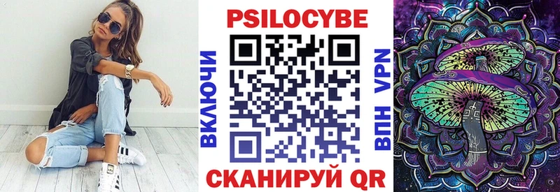 mega вход  Венёв  Псилоцибиновые грибы Psilocybine cubensis 
